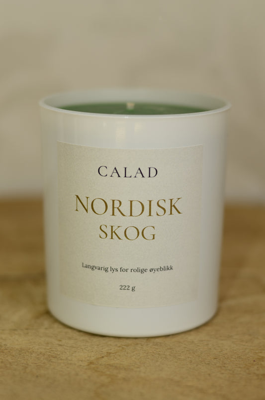 NORDISK SKOG – En reise til naturens hjerte